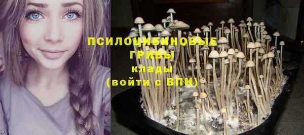 гидра Куйбышев