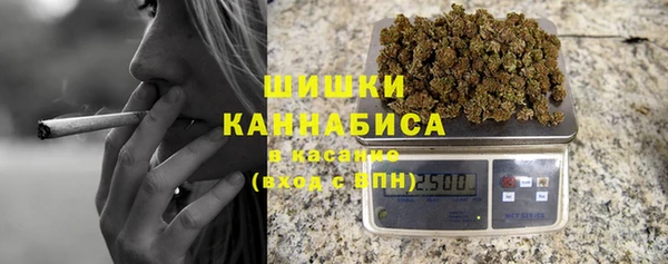 ГАЛЛЮЦИНОГЕННЫЕ ГРИБЫ Краснослободск